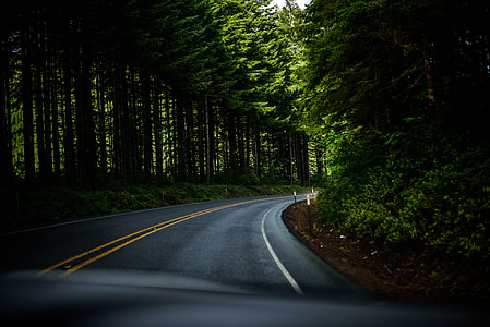 Winding Roadway in Oregon thumbnail