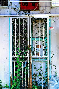 green plants on white steel gate thumbnail