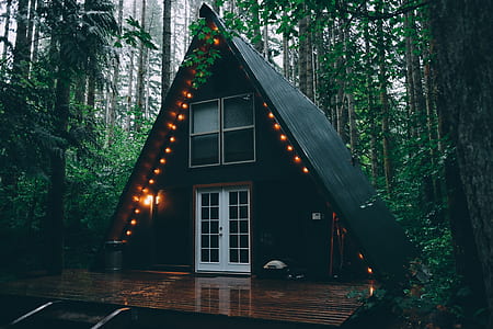 green and white wooden house in forest thumbnail