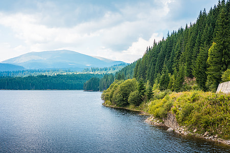 Lake Shore and Forests Scenery in Romania thumbnail