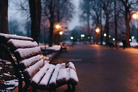 snow-covered bench at sunset thumbnail