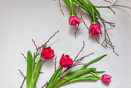 pink petaled flowers thumbnail