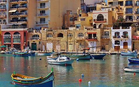 sailboats beside concrete buildings thumbnail