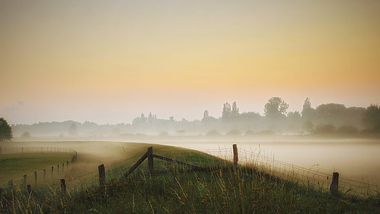 green grass under orange sunset thumbnail