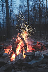 shallow focus photography of bonfire thumbnail