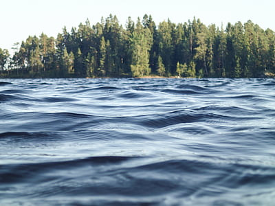 green trees across blue body of water thumbnail