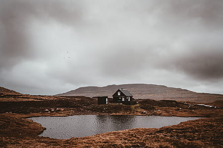 brown house near lake thumbnail