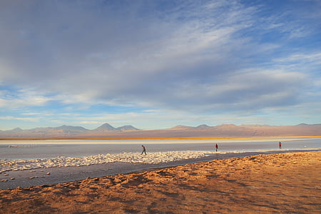 three person walking on seashore during daytime thumbnail