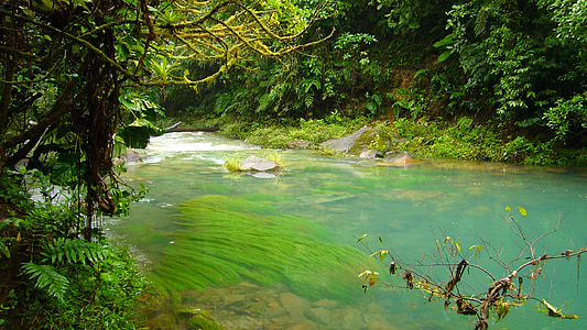close up still body of water thumbnail