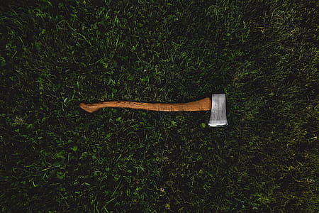 Axe in Grass thumbnail