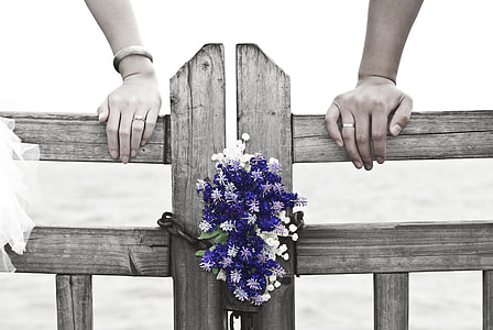 purple and white petaled flowers on gray wooden fence thumbnail