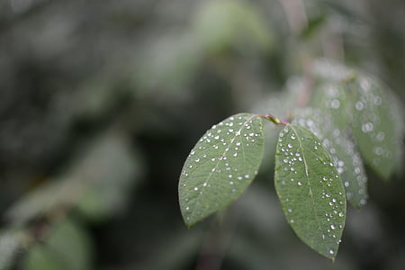green and white polka dot textile thumbnail