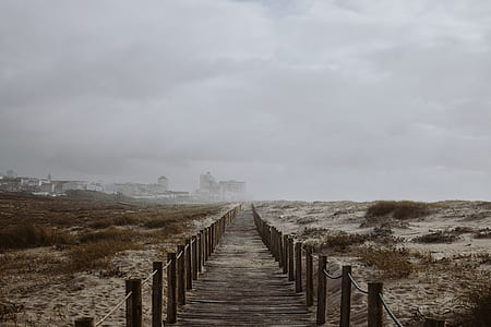 brown wooden pathway under cloudy sky during daytime thumbnail