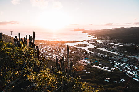 aerial photography of city at daytime thumbnail