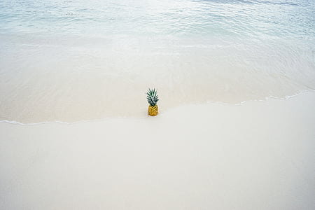 pineapple beside seashore thumbnail