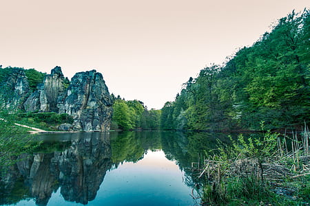 body of water surrounded by trees during daytime thumbnail