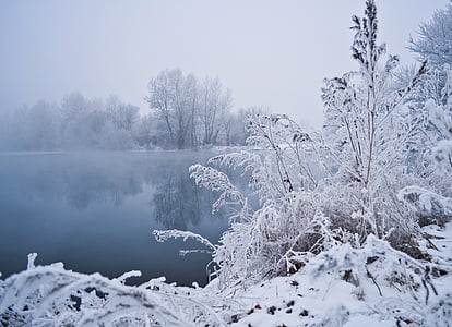 snow covered trees near body of water under white cloudy daytime sky thumbnail