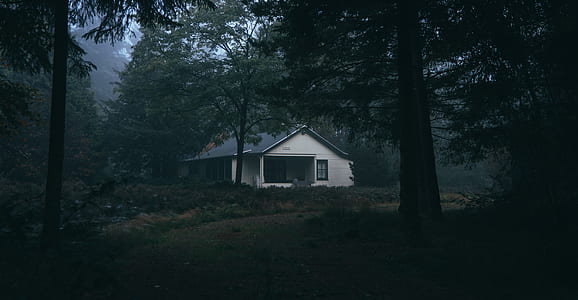 white house surrounded by trees thumbnail