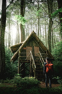 man walking alone towards wooden hut in middle of forest thumbnail