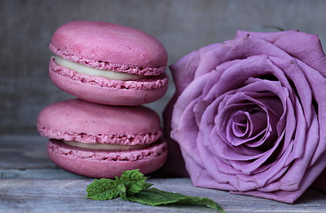 purple rose beside two pink macaroons thumbnail