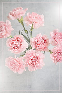 pink flowers thumbnail