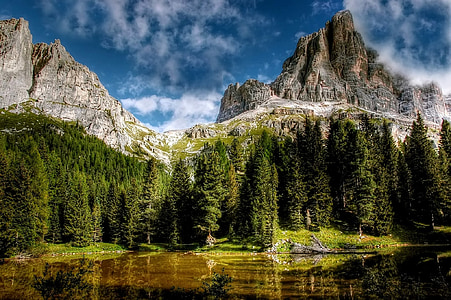 green trees beside mountain during daytime thumbnail