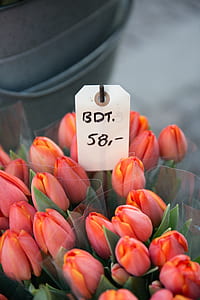 three red tulip flower bouquets thumbnail