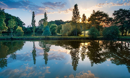 trees near body of water panoramic photo thumbnail