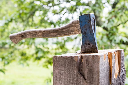 brown wood handled hatchet on brown log thumbnail