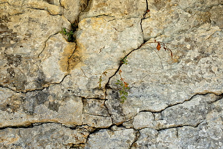flat lay photography of brown rock thumbnail