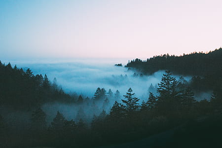 aerial view photography of sea of clouds thumbnail