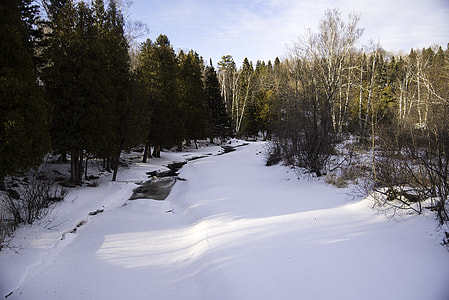 Downstream with snow and ice on the Gooseberry River at Gooseberry falls State Park, Minnesota thumbnail