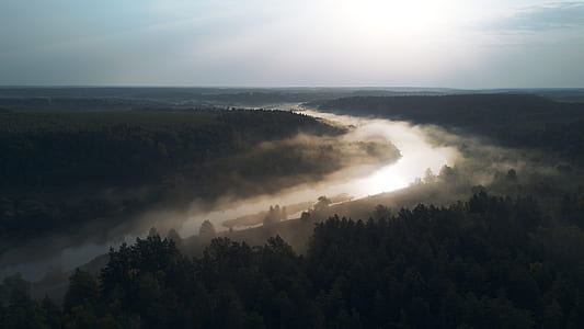 aerial view photo of foggy road near trees at daytime thumbnail