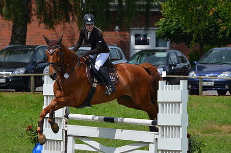 equestrian during daytime thumbnail