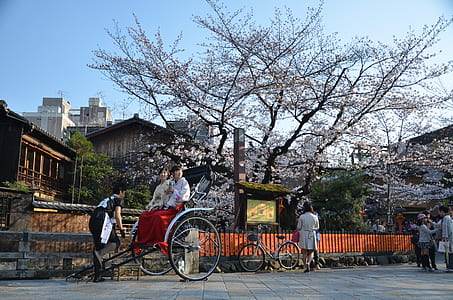 people gathering in front of white blossom tree thumbnail