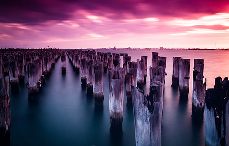 wood poles on body of water thumbnail