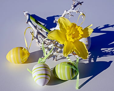 yellow daffodil flowers with three assorted-color plastic eggs thumbnail