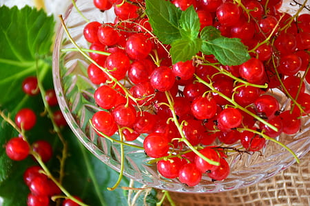 cherry tomatoes with leaves thumbnail