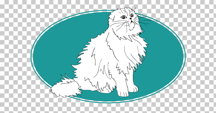 Dog Scottish Fold Turkish Angora Ocicat American Shorthair