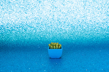 Green Cactus With Vase thumbnail