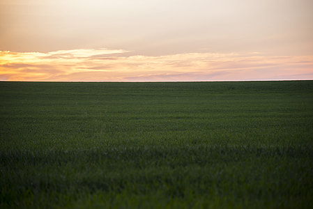 skyline of grass field at daytime thumbnail