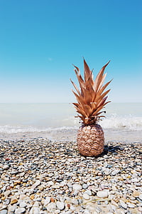 photo of brown pineapple on seashore during daytime thumbnail