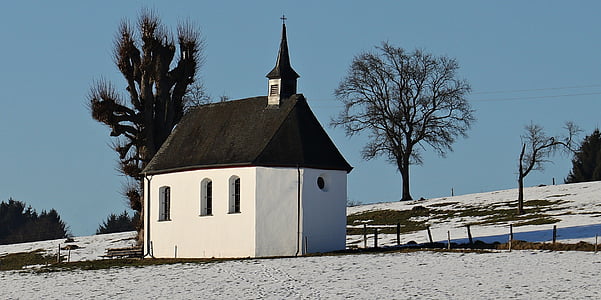 black and white cathedral near tree during daytime thumbnail