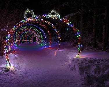 Bright and merry Christmas lights thumbnail