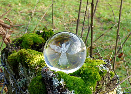 angel globe on green moss thumbnail