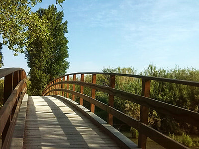 architectural photography of wooden bridge thumbnail
