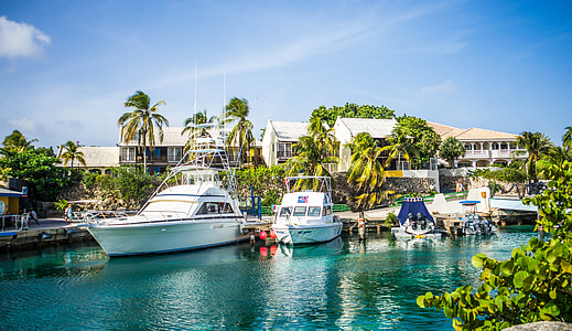 white yachts in dock thumbnail