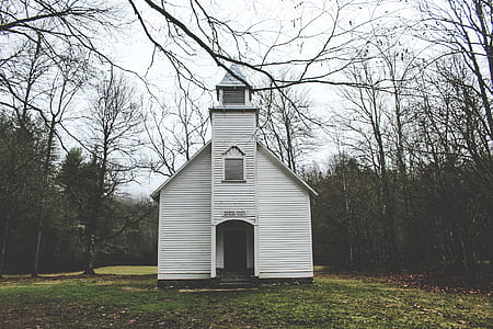photo of white wooden chapel between bare trees at daytime thumbnail