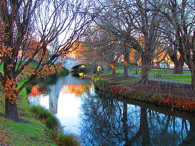 lansdscape photo of a body of water between trees thumbnail