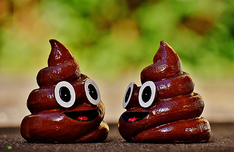 shallow focus photography of two brown poop figurines j thumbnail
